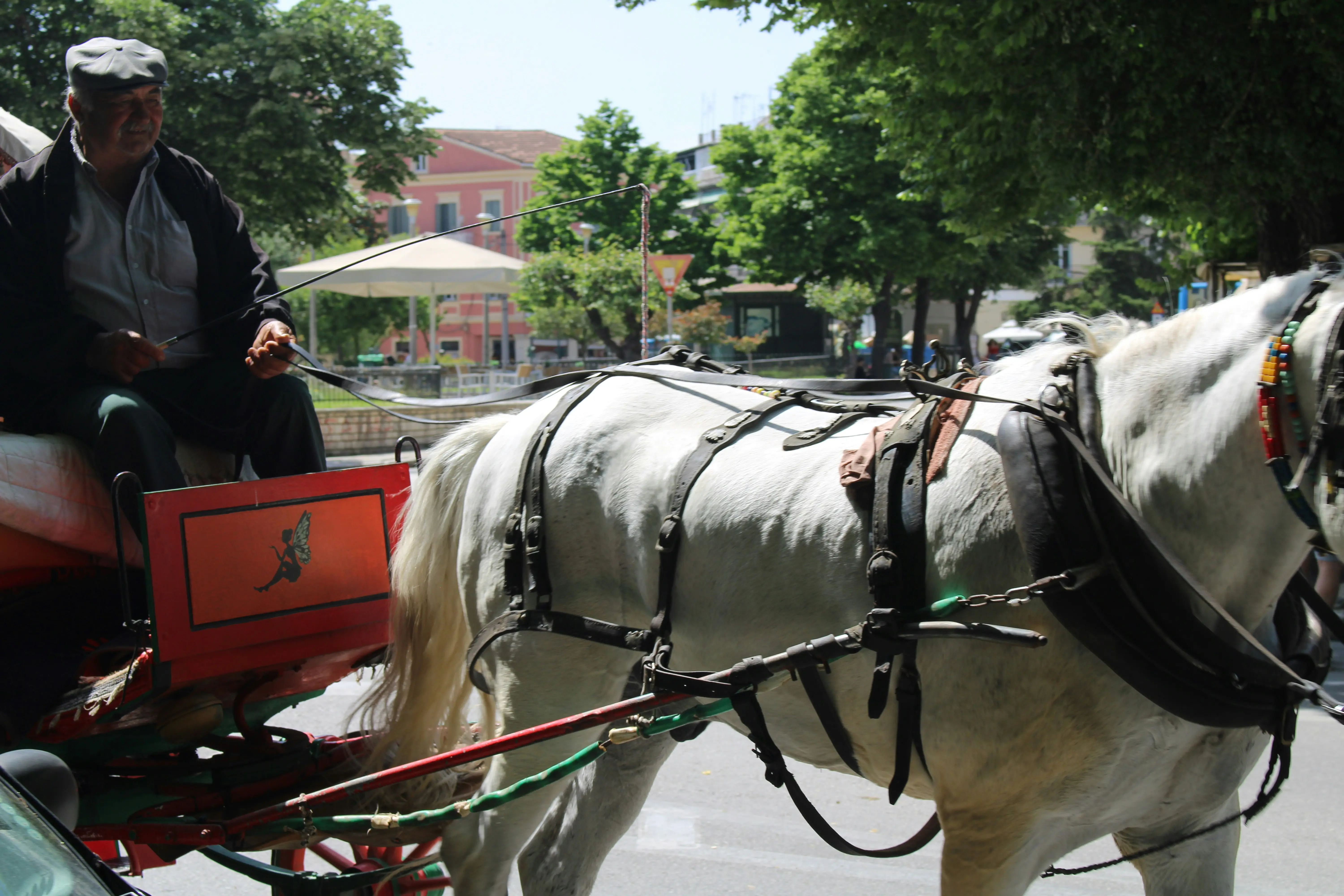 Man driving a horse-drawn carriage on a sunny day